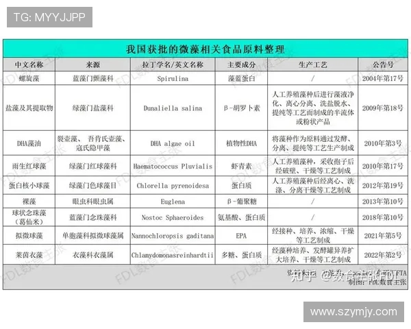深度聚焦当代足球运动员成长轨迹与赛场风采及幕后故事全景解析研究