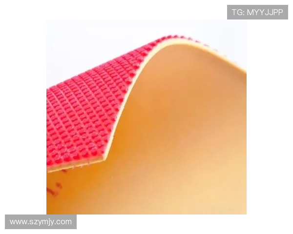 乒乓球技术与战术解析：从基础技巧到高水平对抗的全面指南