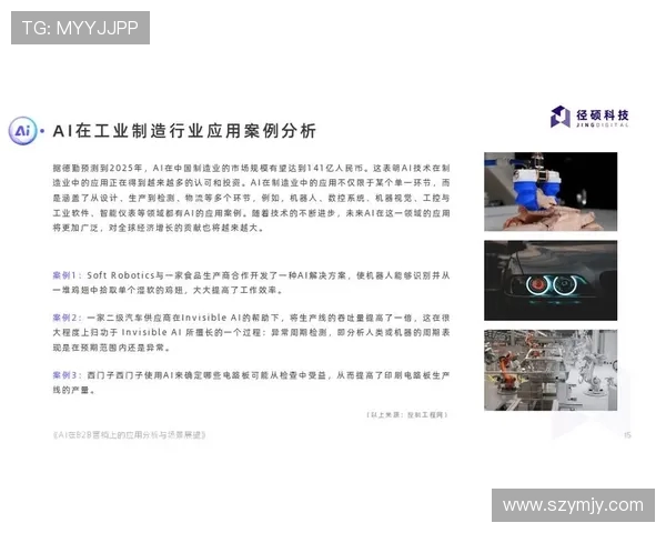 IG与AL的对比分析：揭示两者在技术创新与市场竞争中的异同