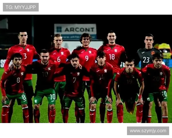 2019年欧洲预选赛保加利亚对阵黑山精彩回顾与赛后分析